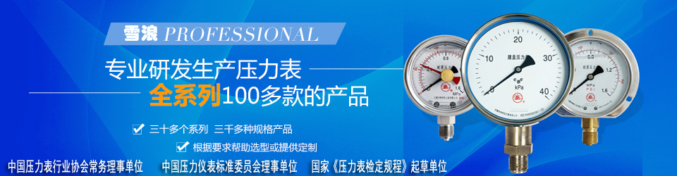 yp街机刮刮卡专业研发生产压力表全系列100多款产品 yp街机刮刮卡专业研发生产压力表全系列100多款产品